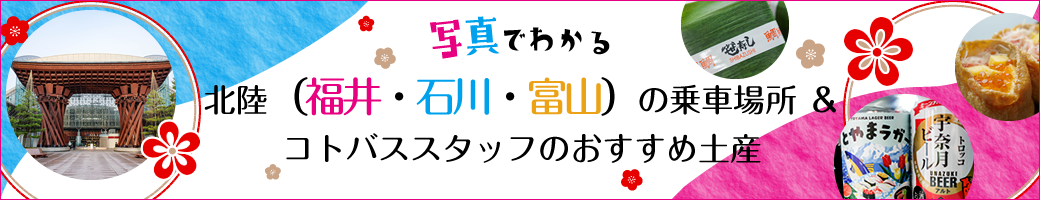 祖谷渓谷・大歩危シャトルバス